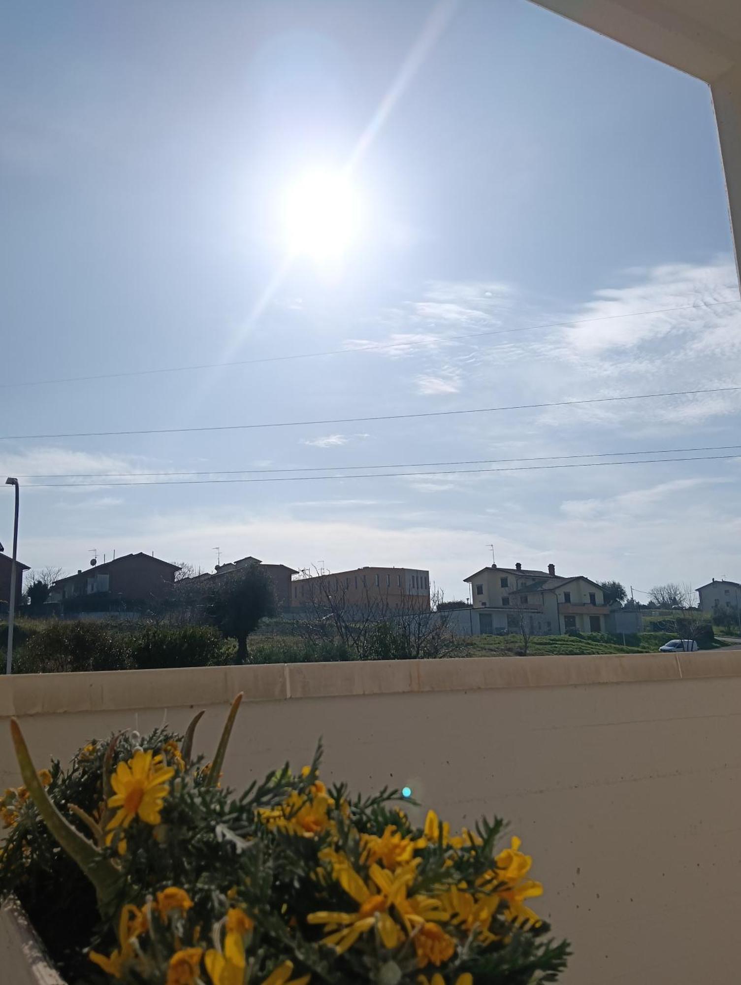 La Principessa Nera B&B Ostra ห้อง รูปภาพ